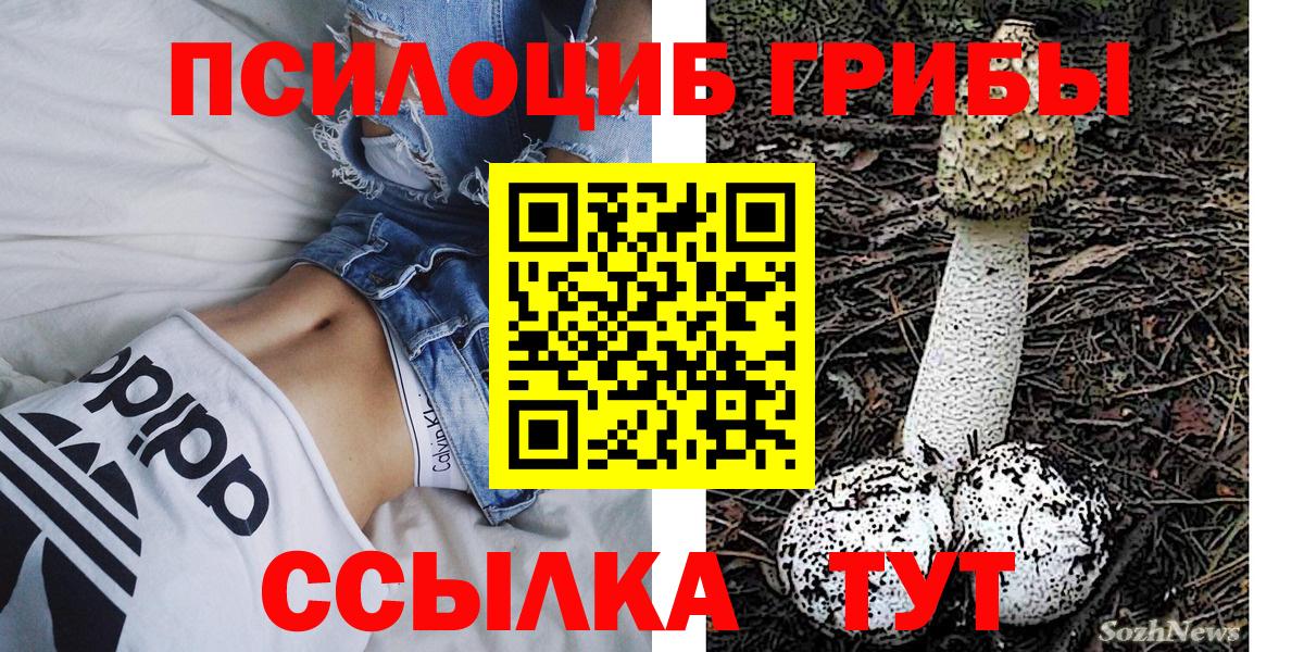 Псилоцибиновые грибы GOLDEN TEACHER Сарапул