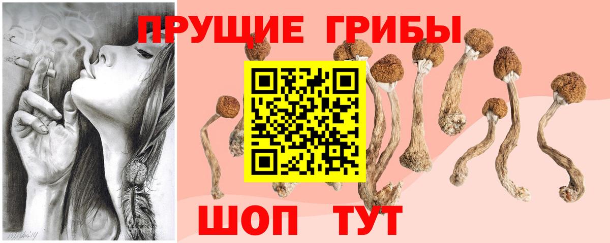 Галлюциногенные грибы мухоморы  Галлюциногенные грибы Psilocybe  Сарапул  Вход с VPN 